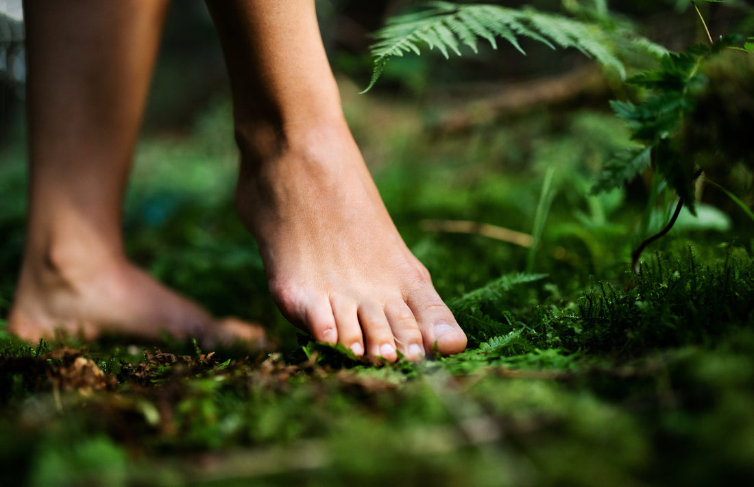 Reap The Benefits of Earthing/Grounding