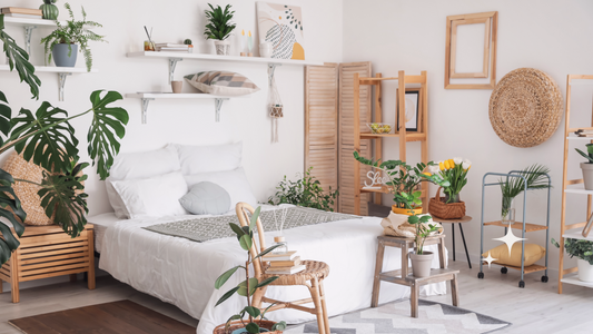 Create Your Zen Den: The Art of Transforming Your Home Into a Wellness Sanctuary