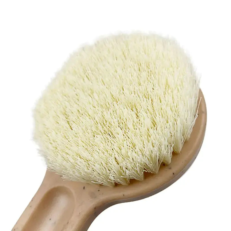 Eco Friendly Body Brush